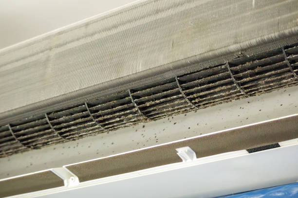 Best Affordable Air Duct Cleaning  in Kamas, UT